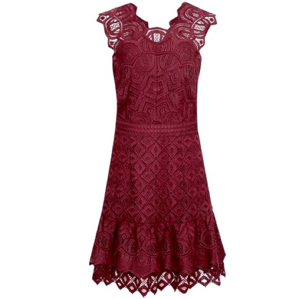 Reiss Burgundy Color Lace Delilah Ruffled Mini Dress Size 6 - Picture 8 of 11